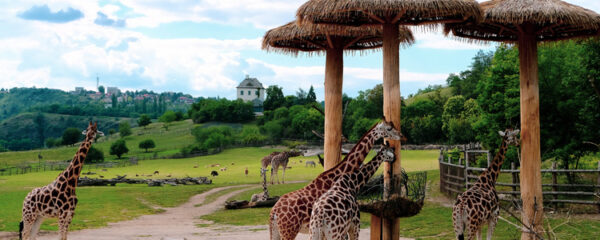 parc zoologique