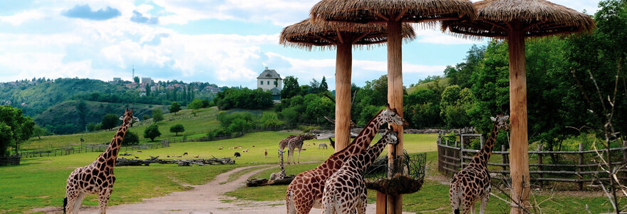 parc zoologique
