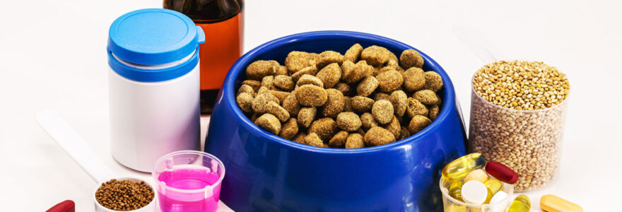 compléments alimentaires pour animaux